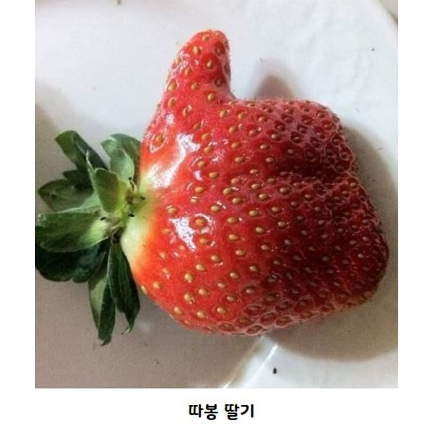 따봉딸기