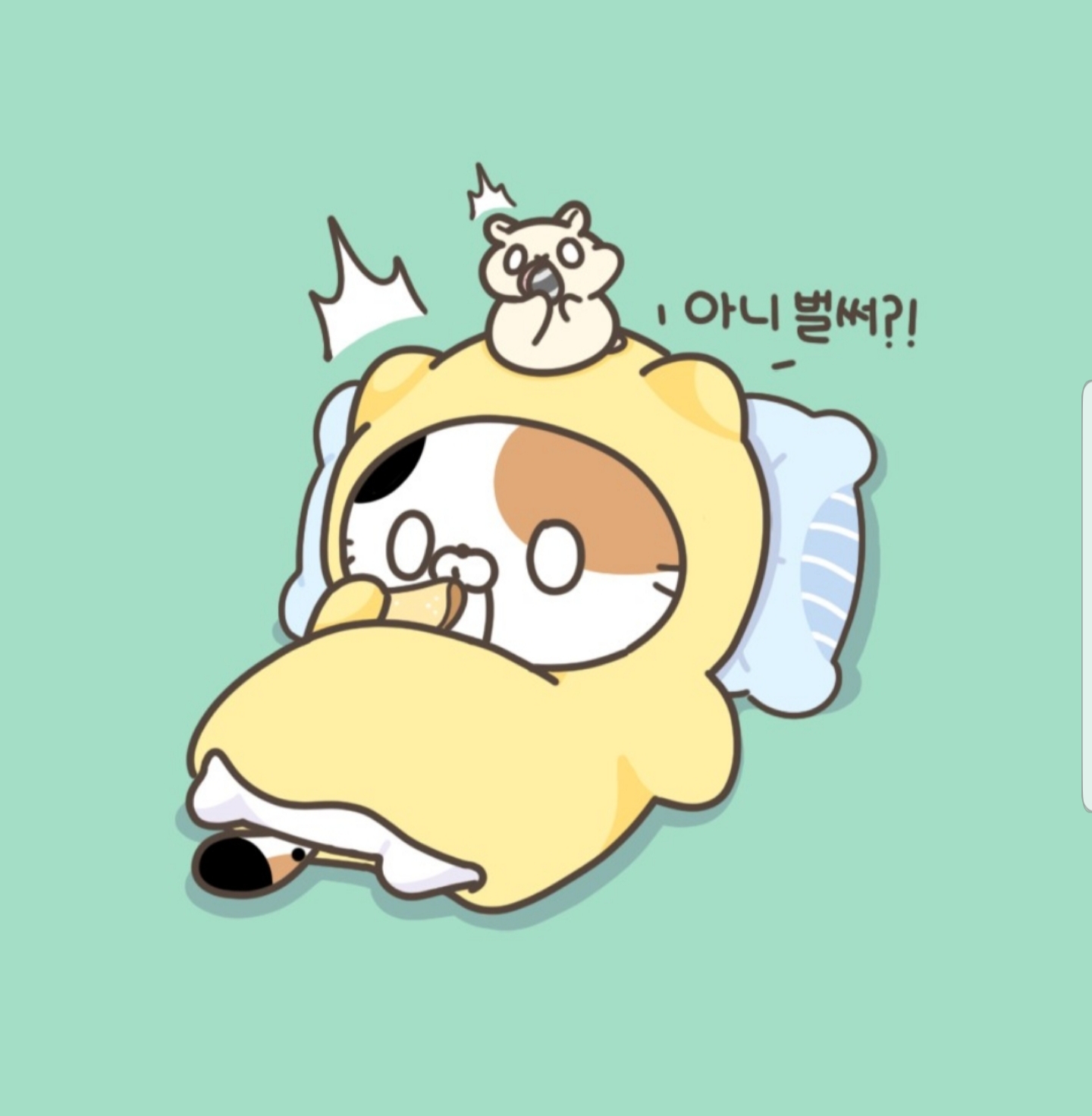 롤 닉네임 귀염뽀짝한 레어닉 있으려나? 롤 닉네임 귀염뽀짝한 레어닉 있으려나?