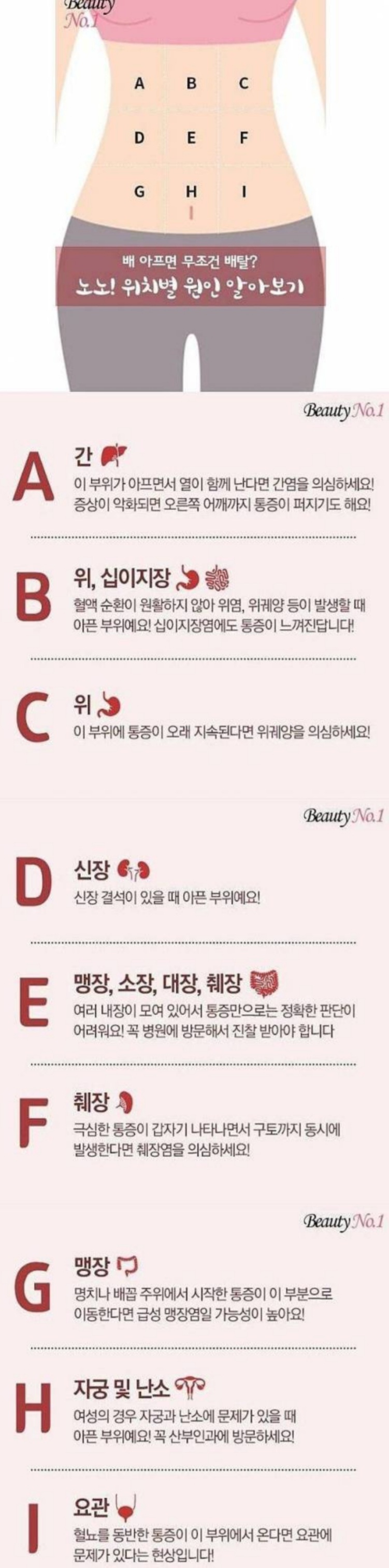 배 위치별 아픈 이유