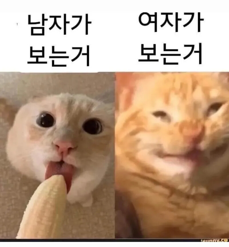 잘자