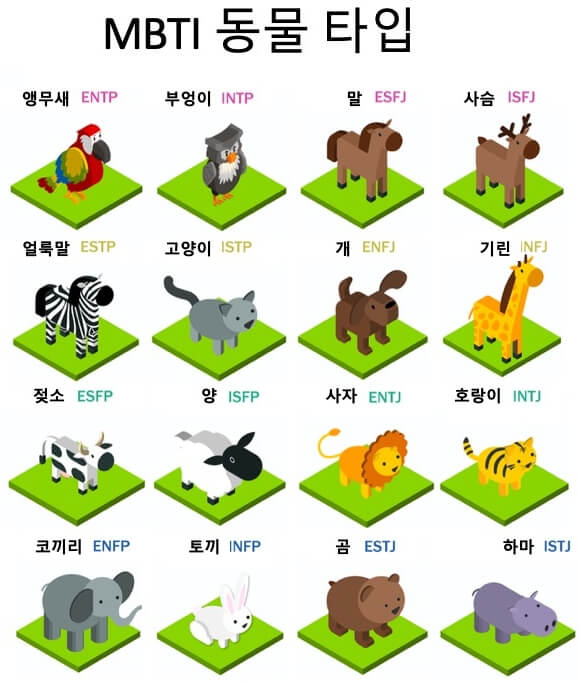 mbti 동물